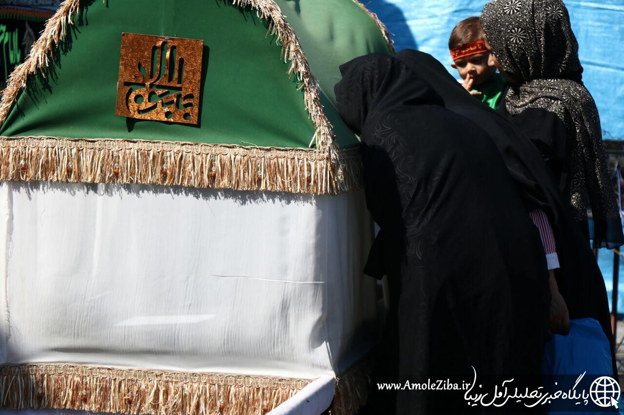 مجمع جهاني حضرت علي اصغر همزمان با ٤٥٠٠ نقطه در ايران و جهان در آمل برگزار شد+گزارش تصویری